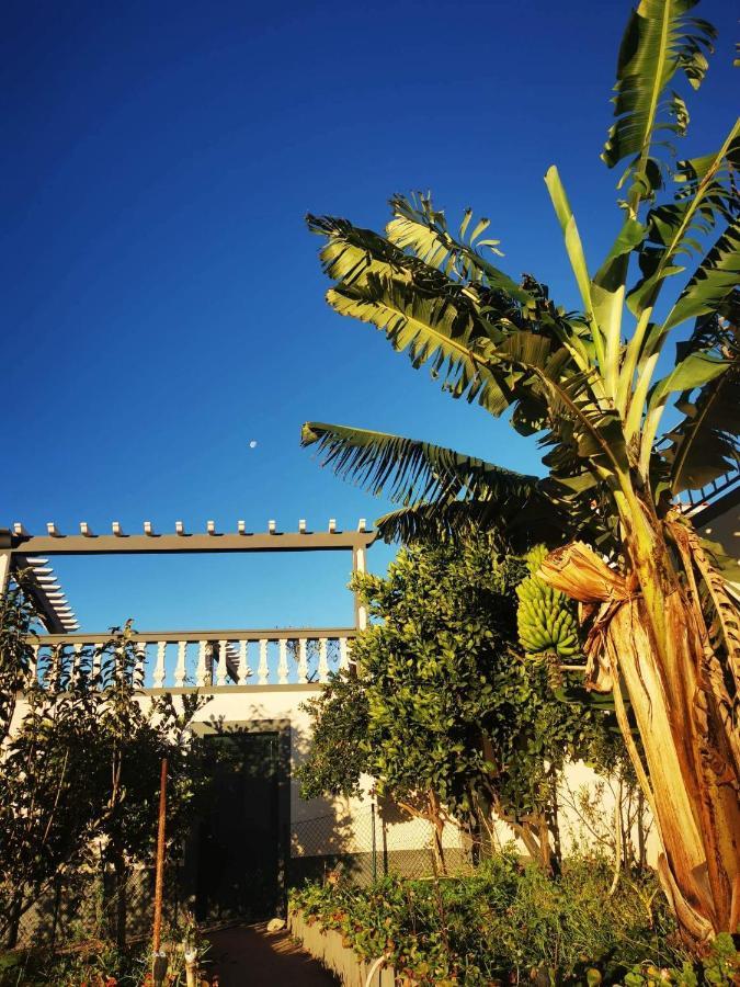 Studio A Casa Valentina Estreito Da Calheta ภายนอก รูปภาพ